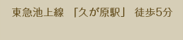 柴垣医院 久が原